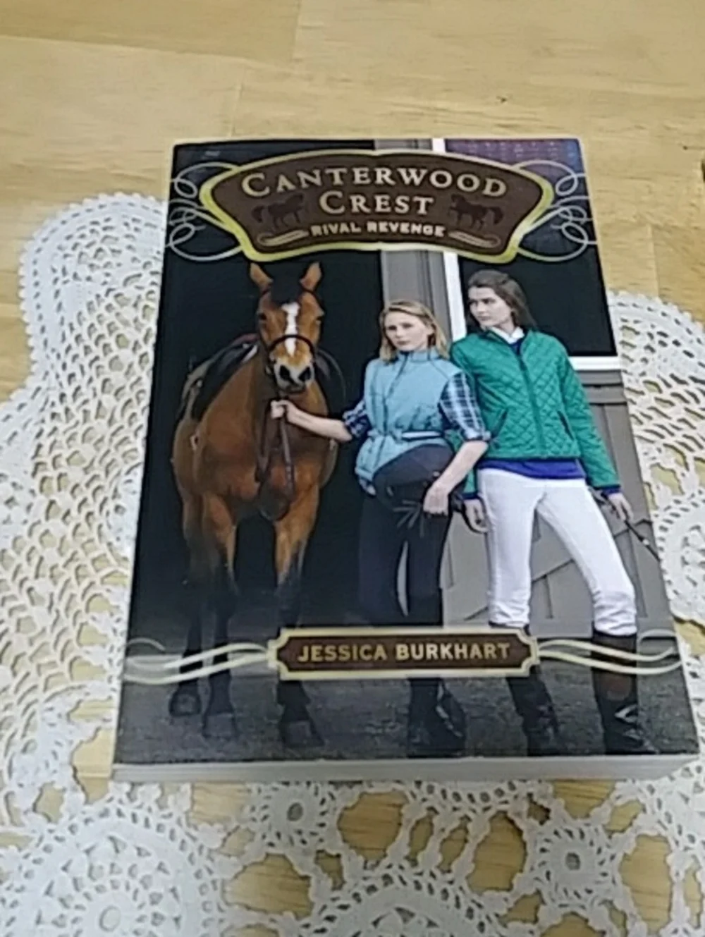 Middle Grade Kid's book bundle -  Canterwood Crest by Jessica Burkhart